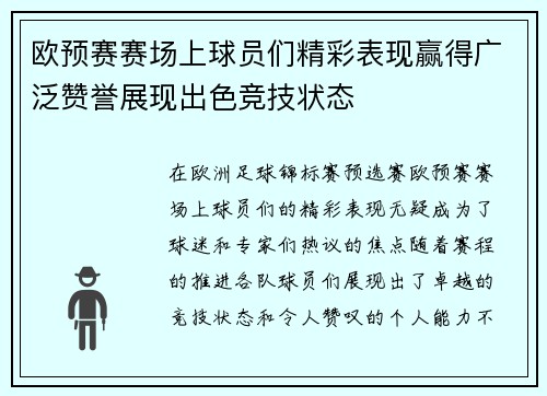 欧预赛赛场上球员们精彩表现赢得广泛赞誉展现出色竞技状态