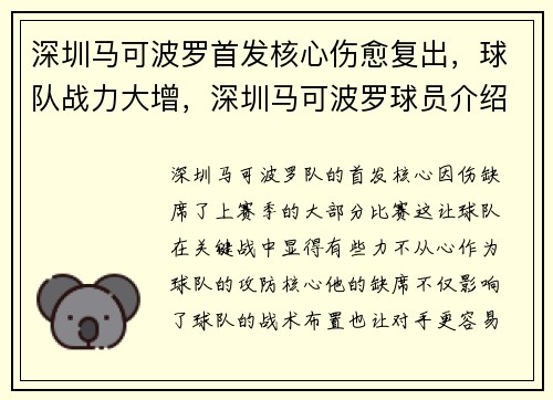 深圳马可波罗首发核心伤愈复出，球队战力大增，深圳马可波罗球员介绍