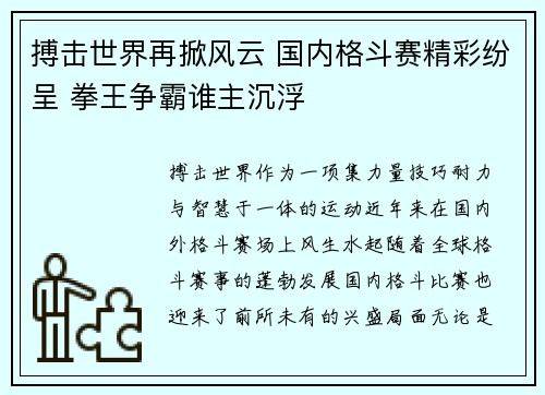 搏击世界再掀风云 国内格斗赛精彩纷呈 拳王争霸谁主沉浮